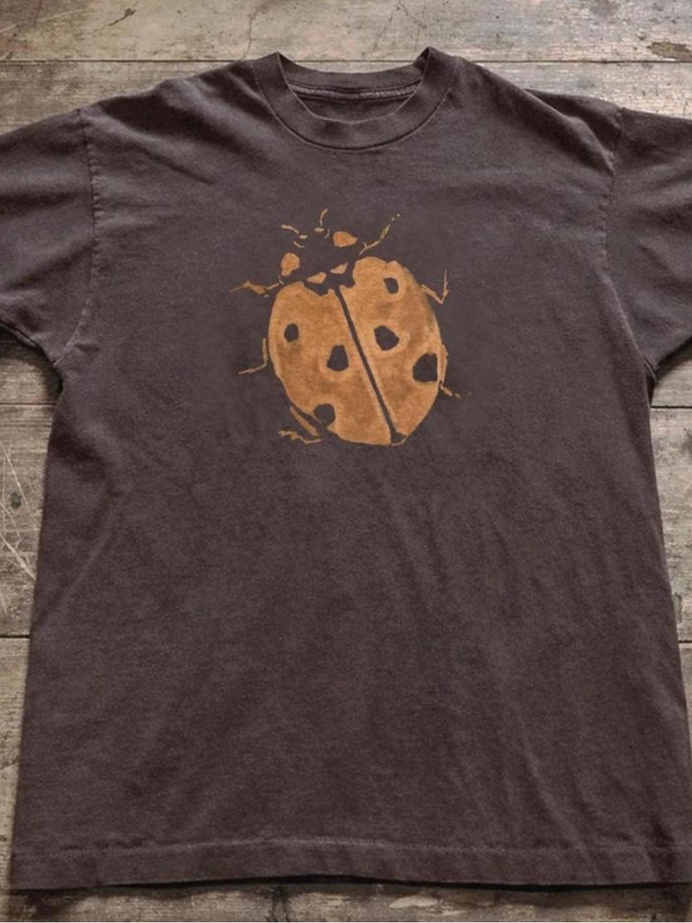 Gildan Brown Ladybug Graphic Tee